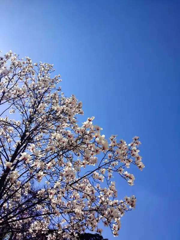 爱我亚太——25周年校庆系列活动之“爱”校