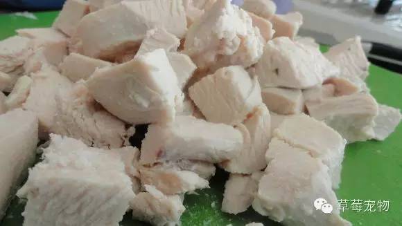 挑食汪星人吃什么,汪星人吃的是什么东西