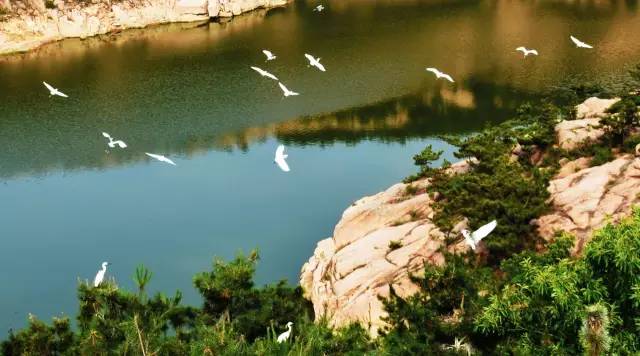 再有人问来五莲该怎样玩，就把这篇文章甩给TA