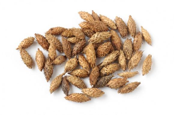 感冒后头痛吃什么中药,感冒后头痛怎么缓解