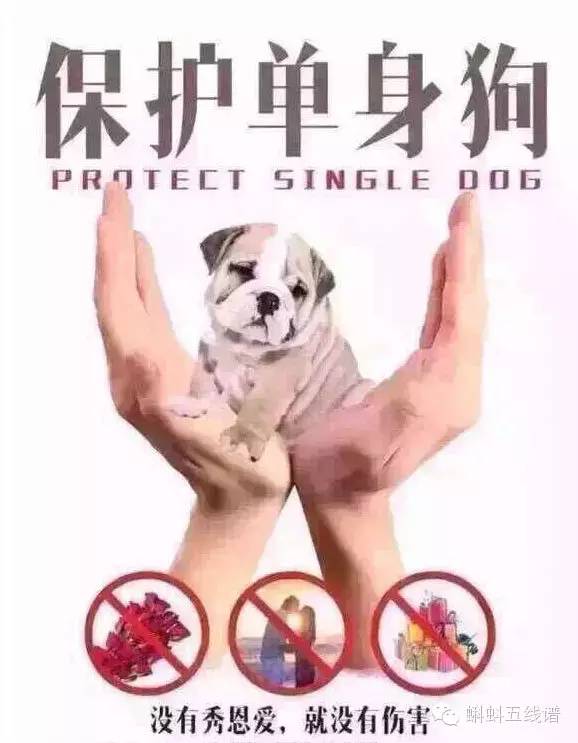 震惊众人的片段,惊呆众人的现场