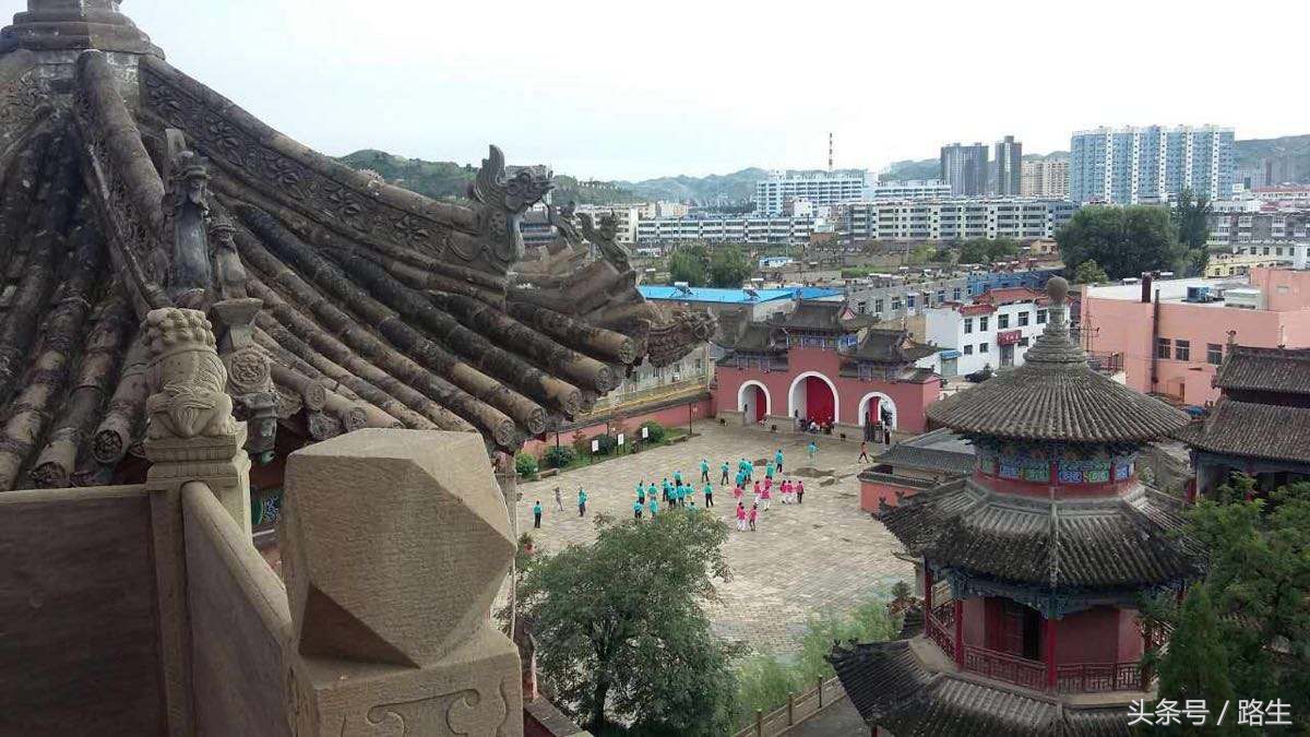 传说中的飞龙真的存在,传说中的飞龙是什么动物