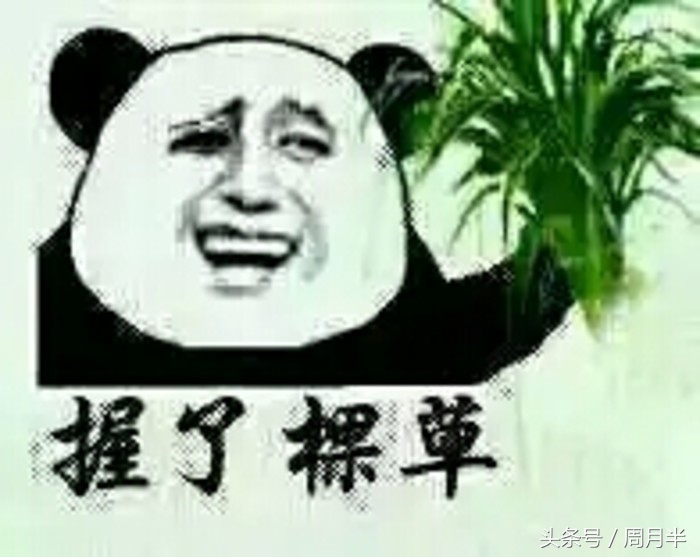 门德斯有多赚钱,门德斯旗下球员