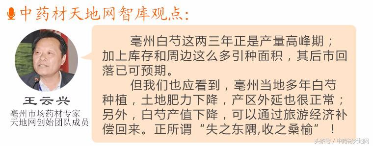 影响白芍价格行情的因素有哪些,白芍最新行情价格是涨还是降