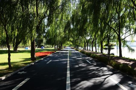 沈阳的海边浑河,远看是海近看是湖