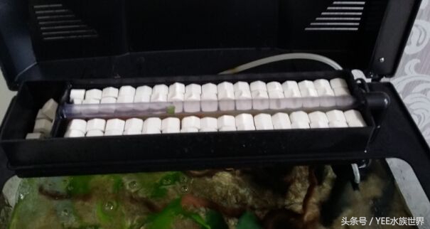 上滤小缸怎么放滤材,上滤缸如何养鱼苗