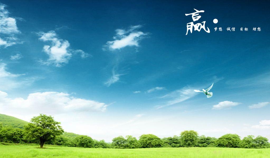 人生必看十大励志文章,天道酬勤正能量励志短文