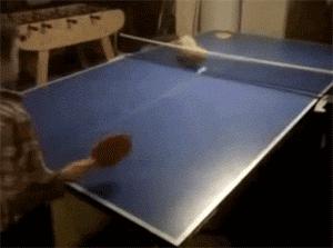 带来幸运的招财小黑猫,一只可以带来好运的猫