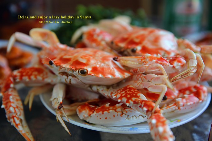 三亚慢生活一天,三亚旅游攻略酒店美食