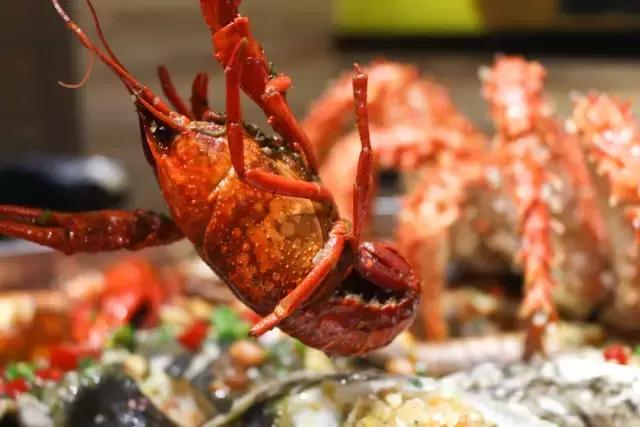 苏州海鲜大咖店推荐,高港区海鲜大咖