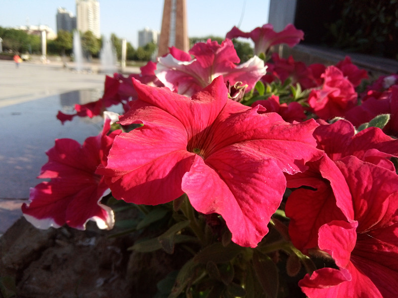 裸眼3d手机2019,沉浸式裸眼3d手机