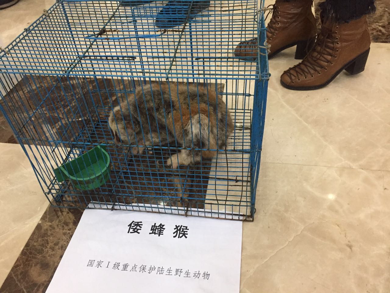 男士海外代购,男士国外代购