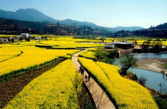 昆明市十大最穷的县,昆明发展最快的哪个县