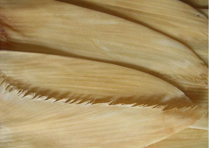 鱼翅营养食谱,这些平民食物营养不输鱼翅