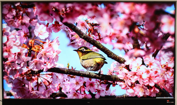 一台电视,一台电视一台投影
