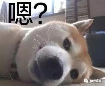 福厦平均工资超7000；马云重回内地首富宝座