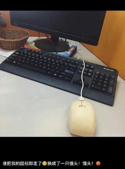 被蜜蜂蛰是什么感觉,被蜜蜂蛰了一下发现是触电的感觉