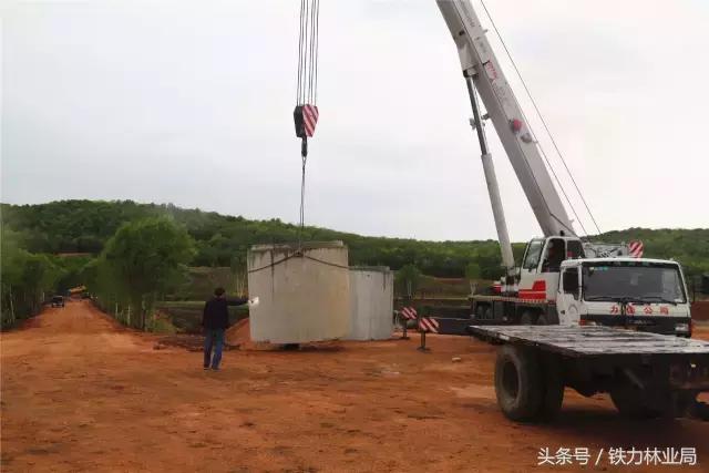 走进森林空气格外清新,走进天然氧吧呼吸新鲜空气