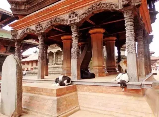 佛教圣地五台山可以随便旅游吗,佛教圣地五台山旅游攻略