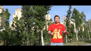 龙的传人神曲竖笛版,完整版歌曲龙的传人