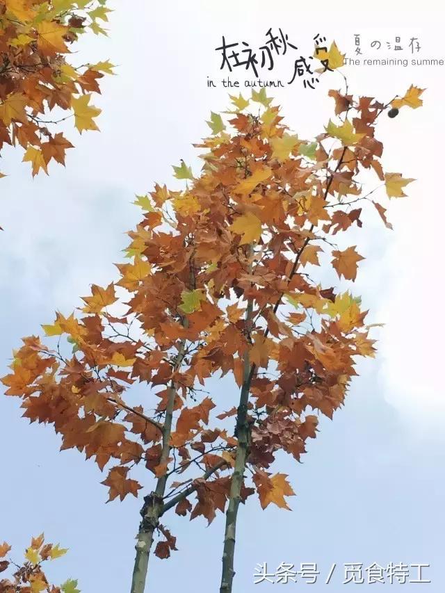 扬州，繁华了2500年的一座城