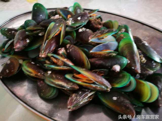 台山海边沙滩推荐珍珠湾,台山海滩推荐