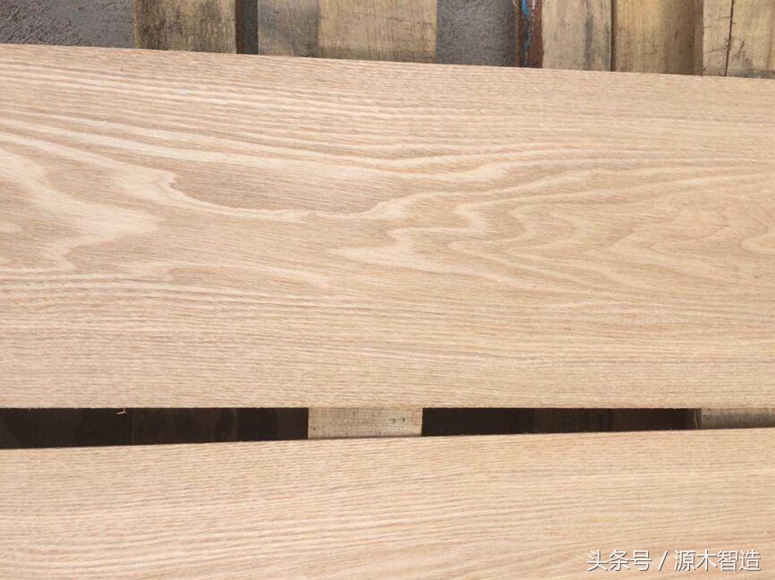 木材介绍之橡木,橡木是什么树的木材