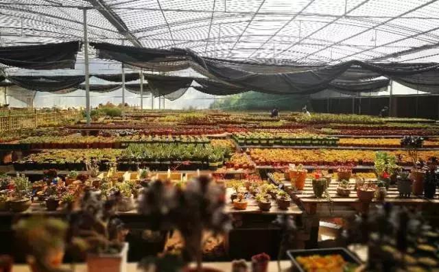 重庆周边海拔1500避暑农家乐,重庆荣昌附近哪里有好玩的农家乐