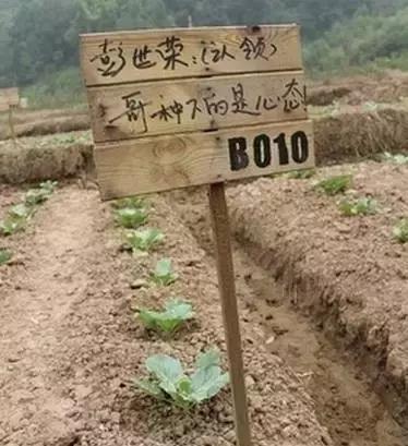 重庆周边海拔1500避暑农家乐,重庆荣昌附近哪里有好玩的农家乐