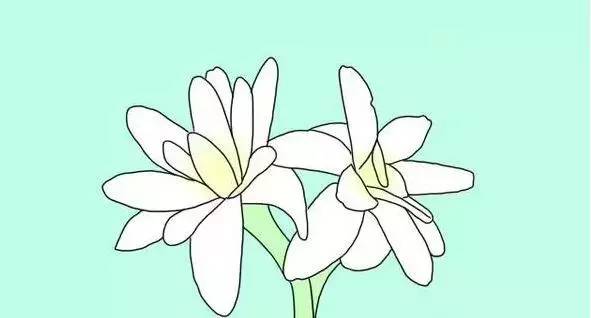 怎么防止飞蚁进入家中房间,怎样防止雨天飞蚁入屋