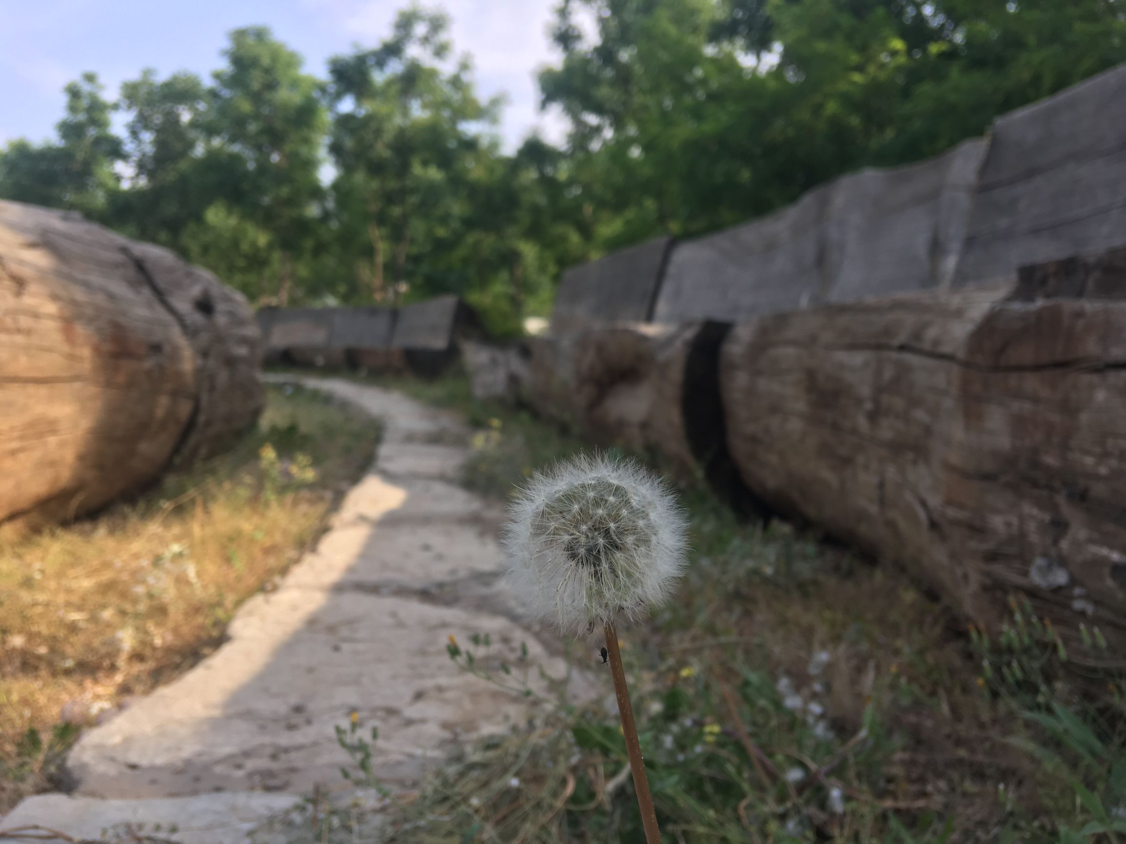 上庄水库常乐村,上庄水库好去处