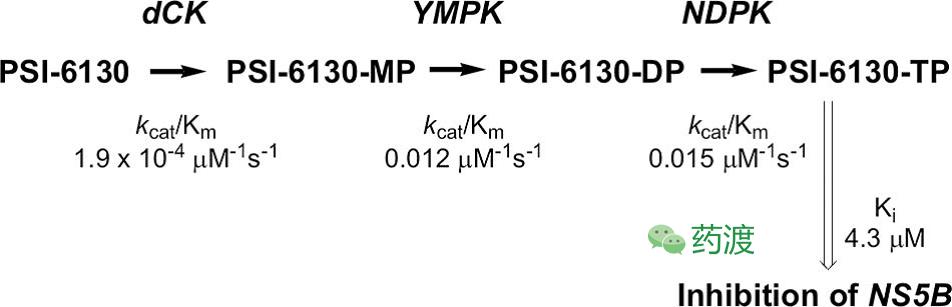 丙肝药索磷布韦价格,治疗丙肝药物索磷布韦在哪里购买