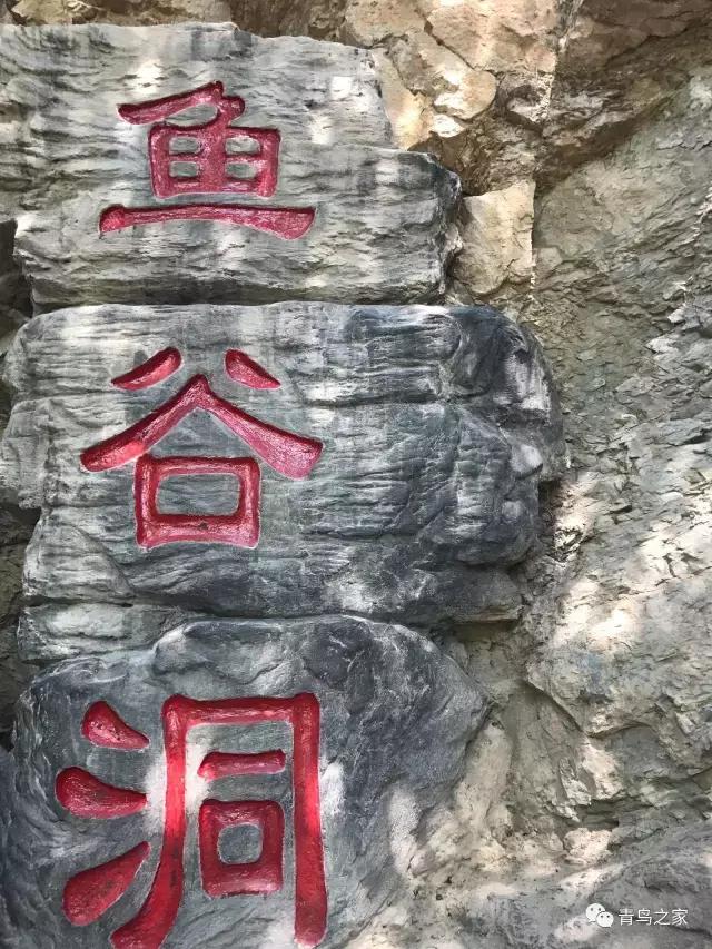 昌平青鸟最任性的野三坡之行