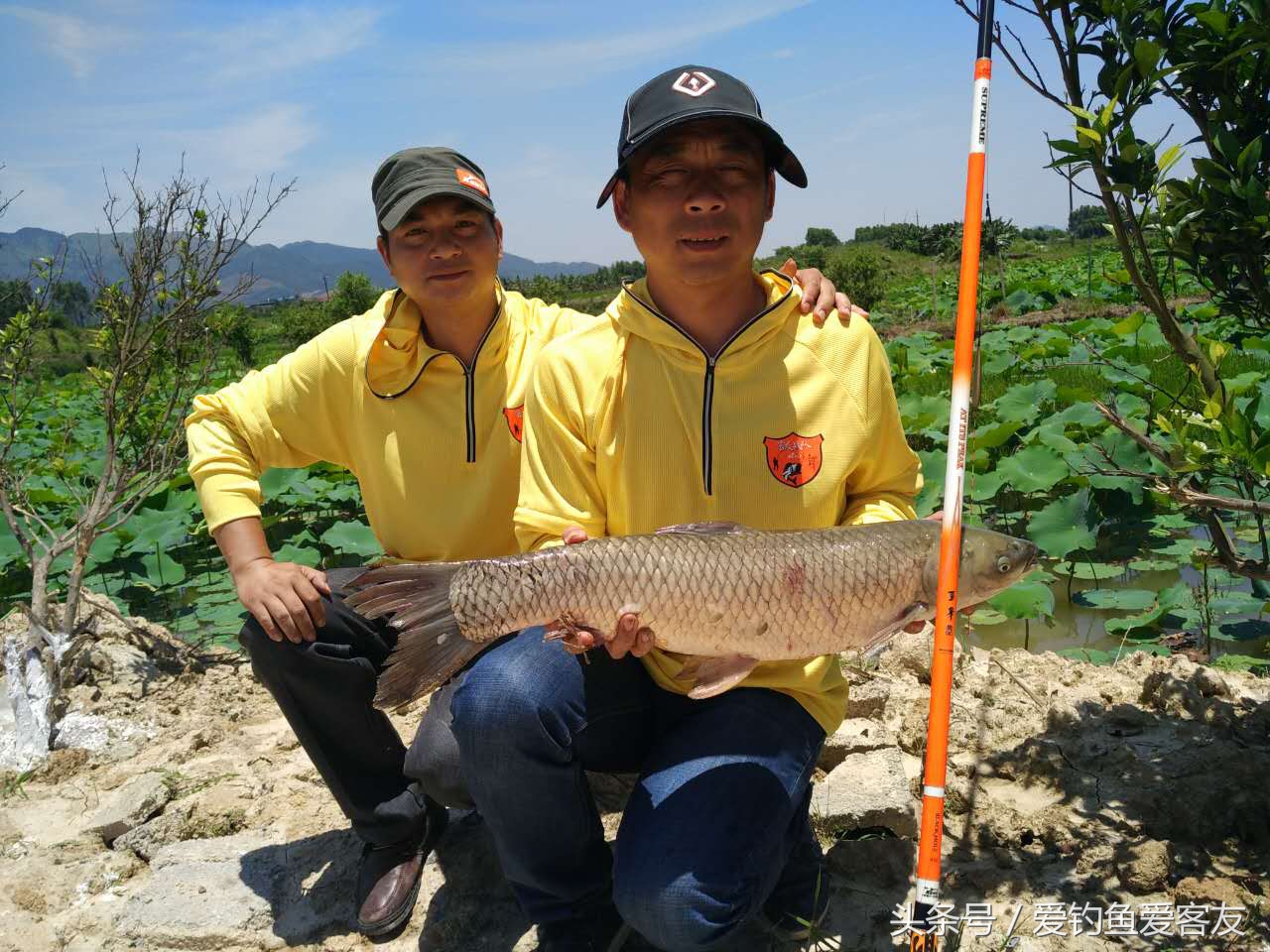 晒晒钓过的鱼,晒渔获