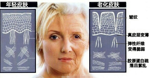 泄露你年龄的叛徒