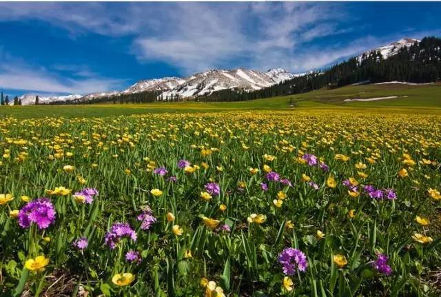 刘诗诗婚礼林依晨,刘诗诗吴奇隆度蜜月