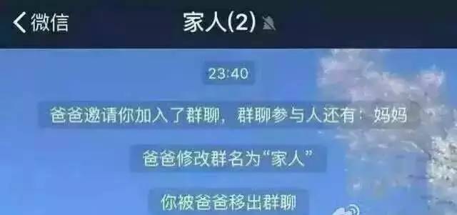 搞笑东北小女孩与父母对话,东北父母搞笑对话