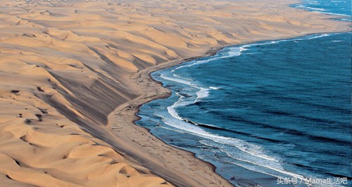 陈柏霖斑马外套同款,陈柏霖同款鞋子