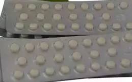 突然大量飞蚁飞进屋子,飞蚁飞进屋不见了怎么办