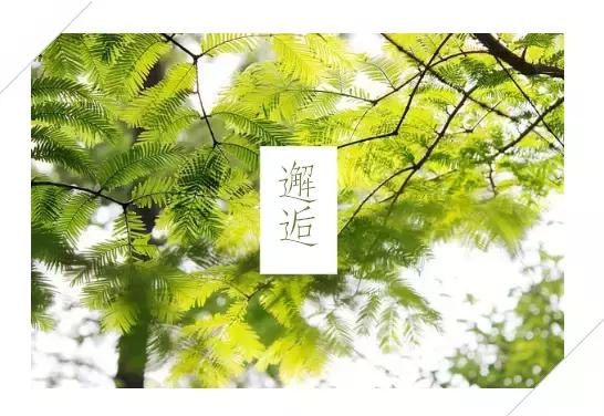 一个移动电源，成就一段姻缘