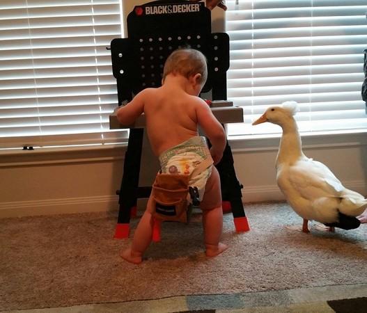 男宝宝小游戏玩具,男宝宝小游戏