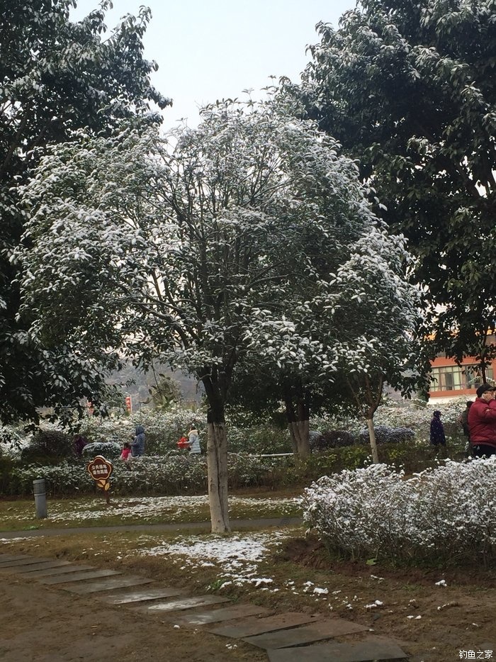 2016第四钓大腰水库