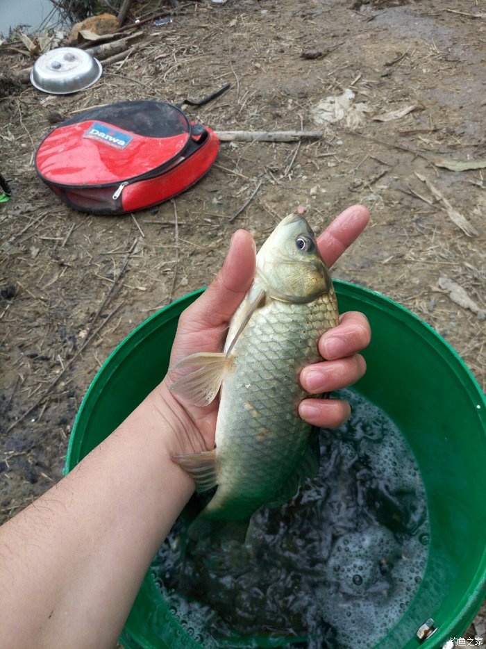 刚学会钓鱼就上钩了,刚刚学钓鱼好吗
