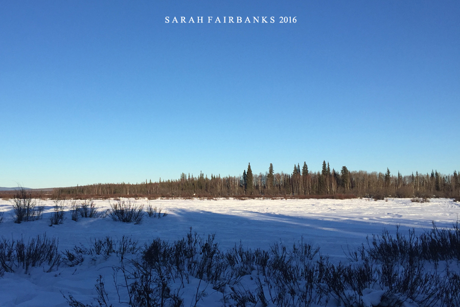 为了这束光，我们一路向北追逐而至...