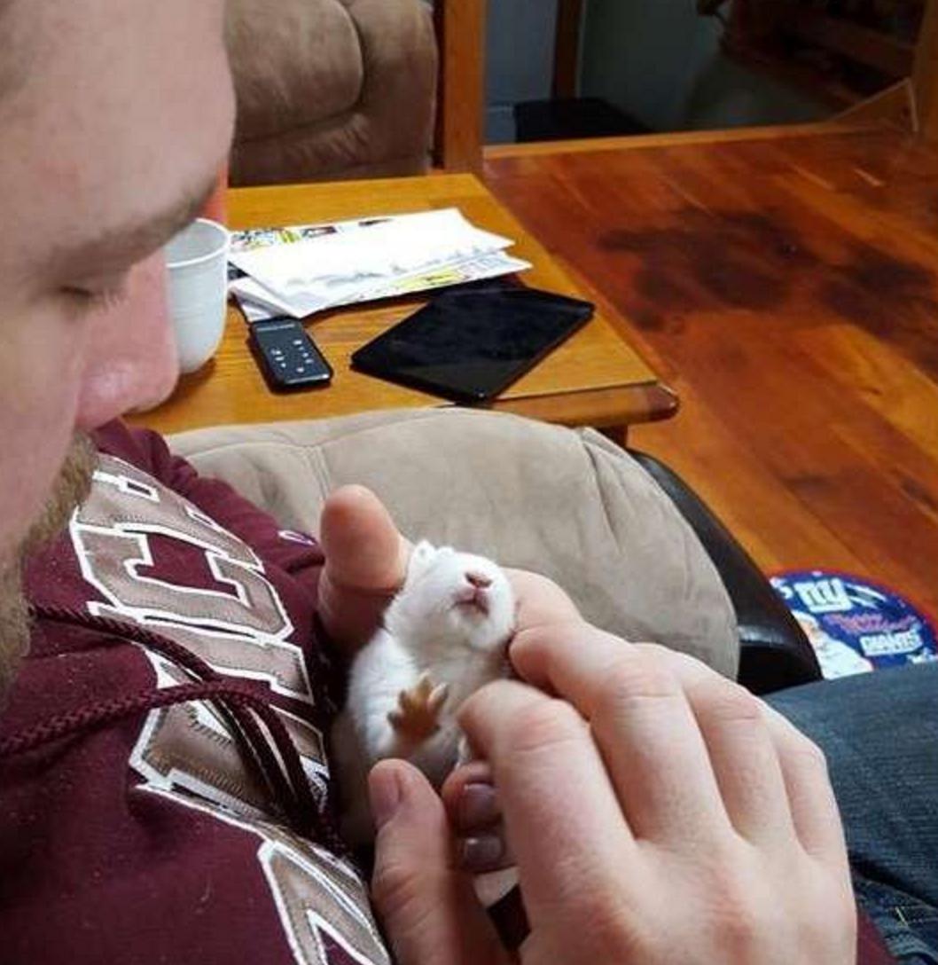 他救了这只小兔子时发现它下身已瘫痪,苦思之下想出一个绝妙方法