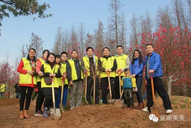 七星岩景区桃花,肇庆七星岩的桃花是什么颜色的