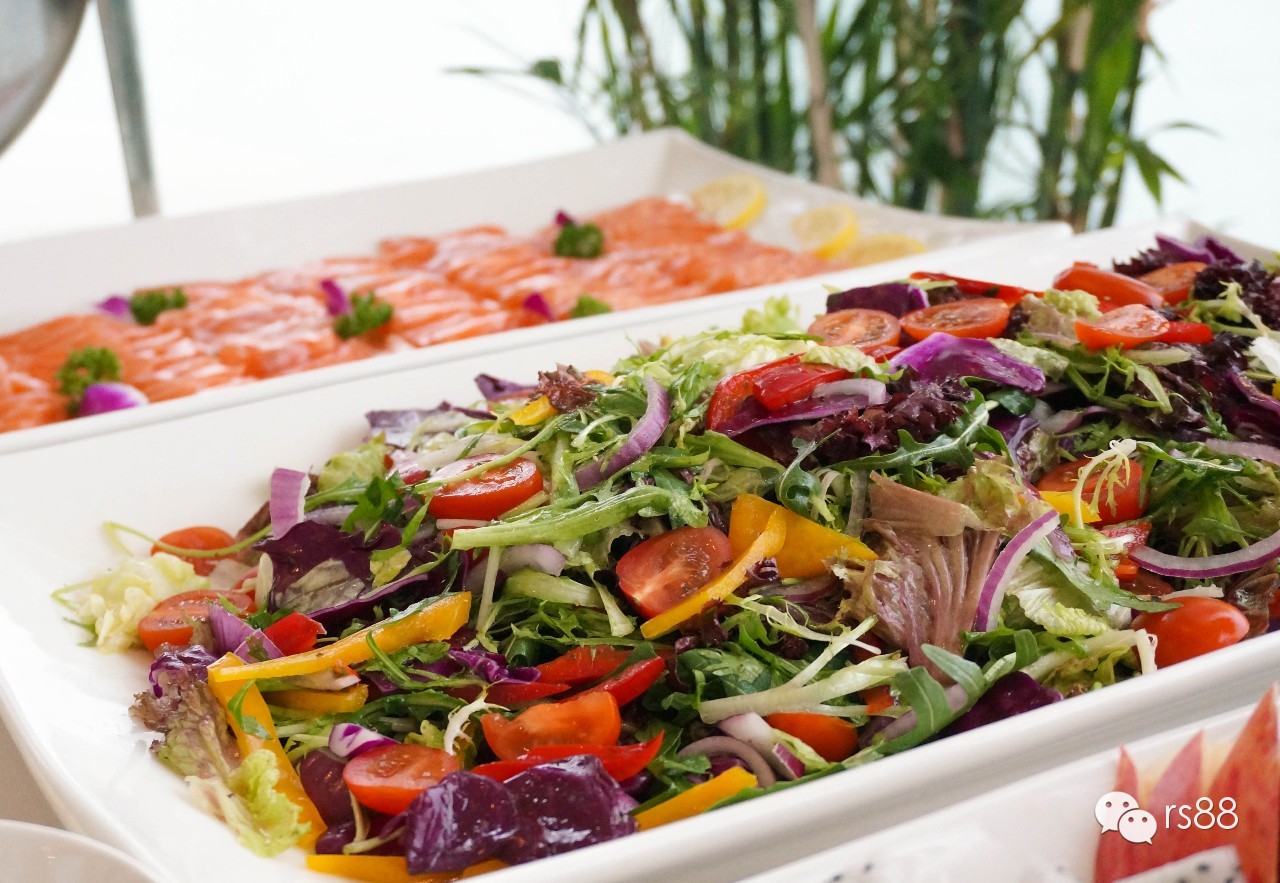 42鑻卞昂璞崕娓歌墖涔嬫梾,rs-88