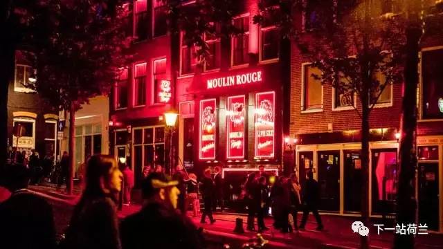 荷兰回国之路,离开荷兰感想