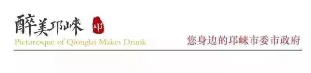 邛崃未来五年的发展,邛崃未来五年的规划