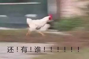 理工男闷骚,理工闷骚男